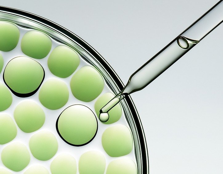 Safety, Purity & Bioavailability by Design
